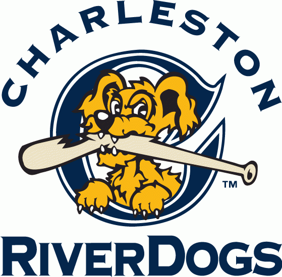 Charleston Riverdogs 2011-2015 Primary Logo iron on transfers for clothing